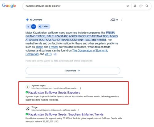 3-Month SEO Growth Plan photo review